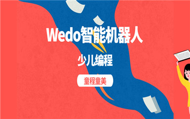 上海长宁中山公园童程童美Wedo机器人编程