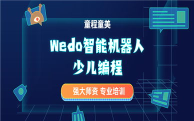 杭州新天地童程童美Wedo机器人编程
