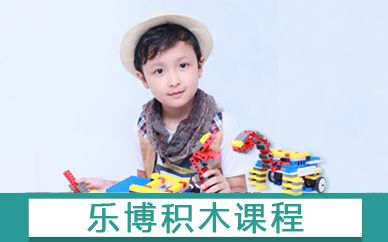 北京崇文区门积木机器人儿童编程课