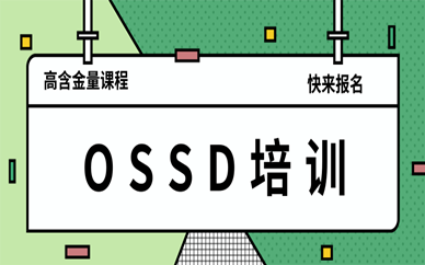 上海闵行环球雅思有OSSD课程吗