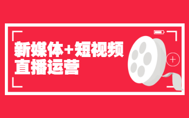 广州海珠短视频直播运营培训