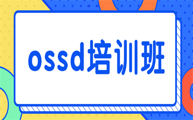 北京海淀魏公街环球OSSD专业培训课程