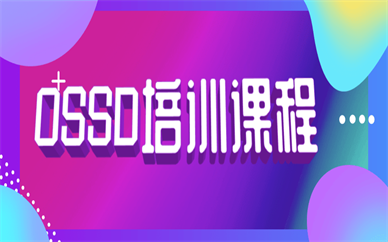 天津环球OSSD培训班