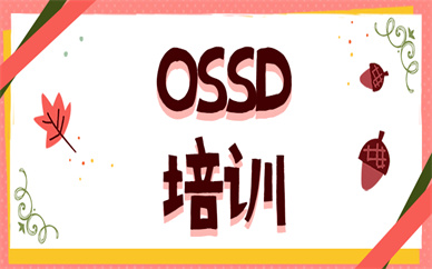 上海黄浦朗阁OSSD培训