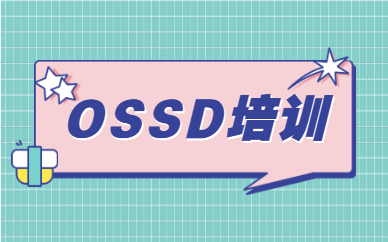 郑州金水美世OSSD课程