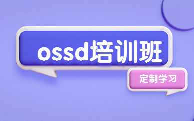 上海徐汇OSSD课程朗阁教育怎么收费