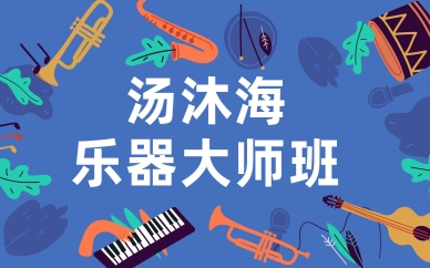 上海普陀镇坪汤沐海乐器合奏课程