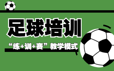 北京丰台威尔夏足球培训